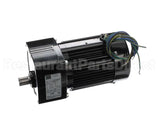 00742.00 Hickory Gr Motor 125Hp 5060 Hz