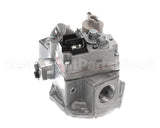 007666F Raypak Gas Valve