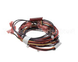 00975243 Follett Wiring, Water Sensor Assembly, Saturn