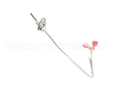 01-1000V9-00149 Baxter Ignitor,Hot Surface