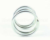 01-400829-00020 Berkel Spring