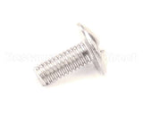01-402175-00189 Berkel Screw, Truss