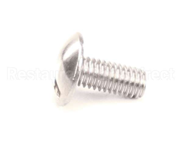 01-402175-00189 Berkel Screw, Truss