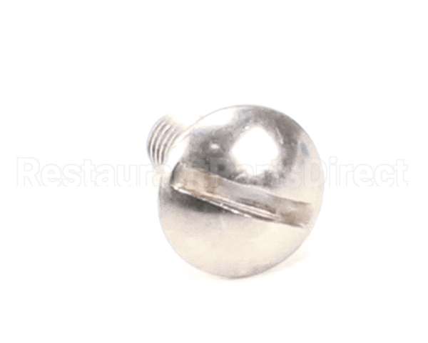 01-402175-00189 Berkel Screw, Truss