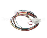 01-404175-00716 Berkel Harness, Wiring J9 (X13/Hs7/Hs