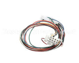 01-404175-00716 Berkel Harness, Wiring J9 (X13/Hs7/Hs