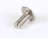 01315.0000 Bunn Screw, Trh Sltd Sst 8-32X.38
