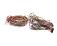 014680F Raypak Wireharness 503200Kit
