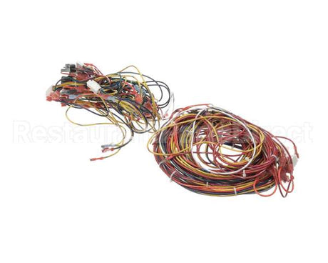 014680F Raypak Wireharness 503200Kit