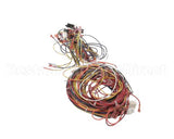 014680F Raypak Wireharness 503200Kit