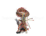 014680F Raypak Wireharness 503200Kit