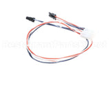 016500F Raypak Wire/Harness In/Outsensor J-Box 3
