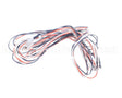 016502F Raypak Wire/Harness In/Outsensor 302C-23