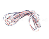 016502F Raypak Wire/Harness In/Outsensor 302C-23