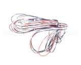 016502F Raypak Wire/Harness In/Outsensor 302C-23