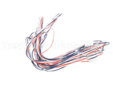 016502F Raypak Wire/Harness In/Outsensor 302C-23