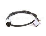 017195-45 T&S Brass Chekpoint Sensor Cable W/ Angled Flat Le