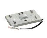 017272 Bally Rub Switch Plt W/Pil