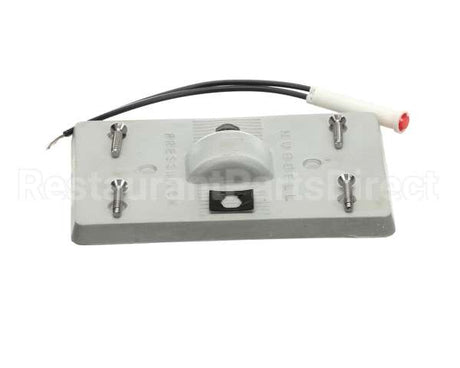 017272 Bally Rub Switch Plt W/Pil