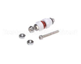 0190 Wesfac Button Probe-Water Lvl