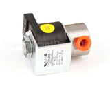 01975.0000 Bunn Valve, Solenoid 240V