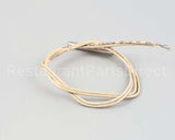 02.01.085.00 Hatco Thermostat Probe Ss Rtd2 100Ohm@32