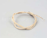 02.01.085.00 Hatco Thermostat Probe Ss Rtd2 100Ohm@32