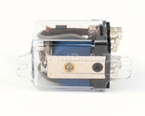 02.01.098.00 Hatco Rel,Cube,208/240Ac,Dpdt,35Res