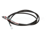 020002093 Multiplex Cord Assembly To Carb Tank