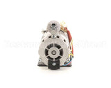 020003095 Multiplex Motor/Pump Circ 230/115 50/60