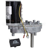 020003650 Compatible Multiplex Motor/Reducer