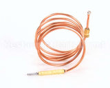 020094 Electrolux Professional Thermocouple, M9X1 L120 Cm