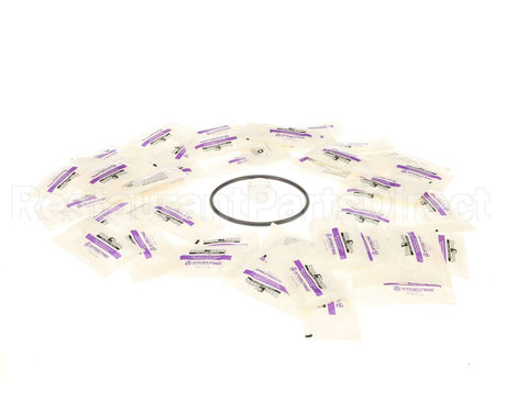 02208432 Stoelting Semi-Annual Cc Pm Kit