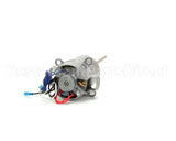 025255 Waring Motor /Dmc 120 Volts