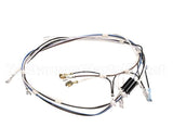02759.0000 Bunn Wiring Harness, 120V 2Top(S)