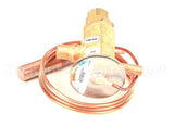 03.02.075.00 Hatco Thermal Expansion Valve,1/8"
