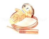03.02.075.00 Hatco Thermal Expansion Valve,1/8"