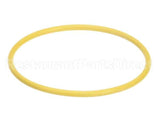 03.05.061B.00 Hatco Watertreat Rep O-Ring Scaltrol