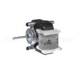 03567 Peerless Motor, 115V