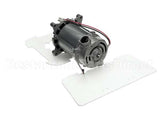 036445 Waring Motor Replacement Kit