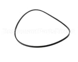 037266 Electrolux Professional Belt