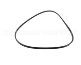 037266 Electrolux Professional Belt