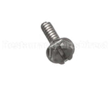 04-0268-SP Lancer Screw,6-19X.625Lg,Plsti,Hhsw/W
