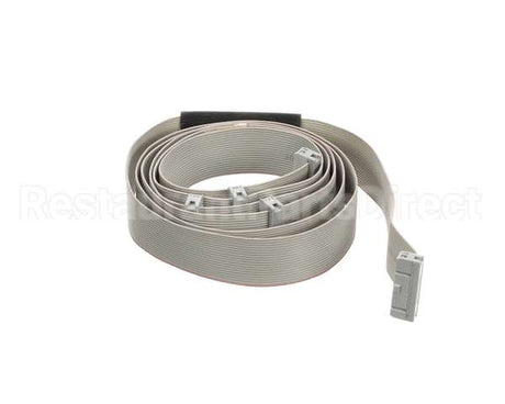 04000363 Nuova Simonelli Ribbon Cable Aurelia 3Gr