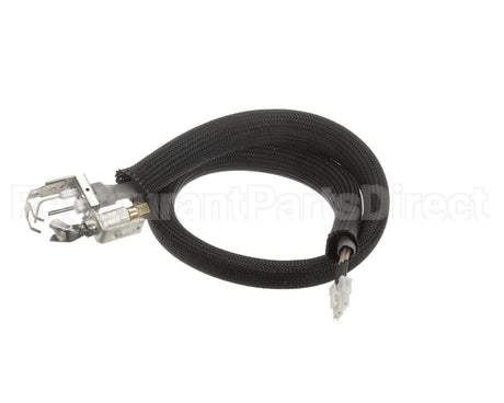 0455946 Legion Pilot Burner Ignitor Sensor