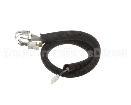 0455946 Legion Pilot Burner Ignitor Sensor