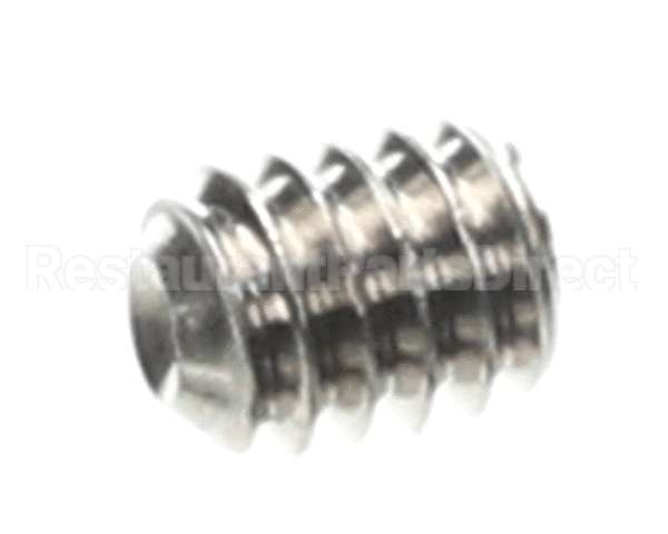 0501395 Champion - Moyer Diebel Screw, Socket 1/4-20X5/16 Ss