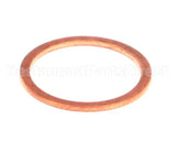 0502804 Champion - Moyer Diebel Gasket Strainer Cap S45 Valve