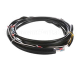 0507577 Champion - Moyer Diebel Harness, Sw600 M5