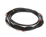 0507577 Champion - Moyer Diebel Harness, Sw600 M5